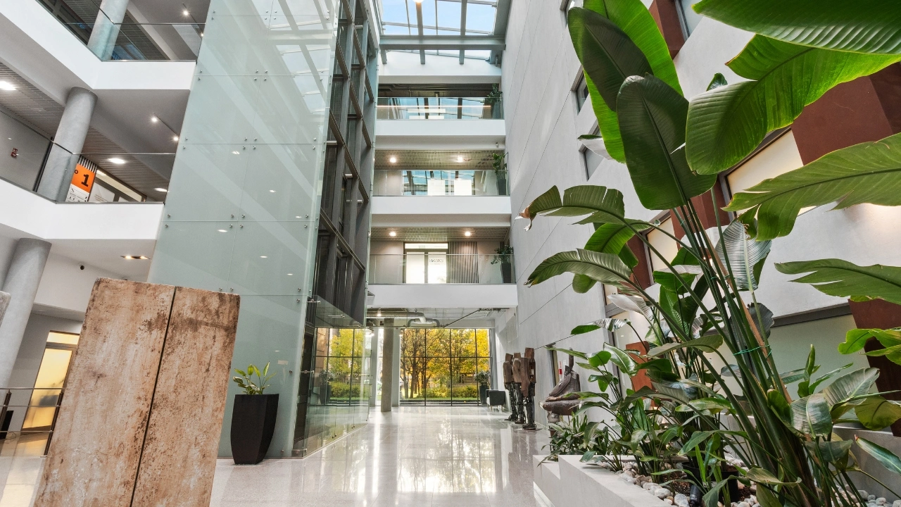 Parter w Office Island