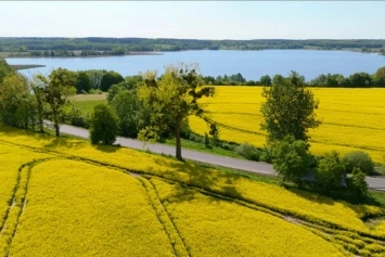 Okolica Klebark Park